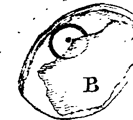 101/101100010004910_1.png