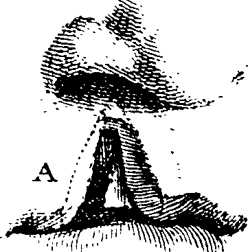 101/101100010004950_1.png