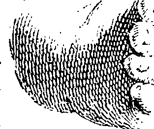 101/101100010004980_0.png