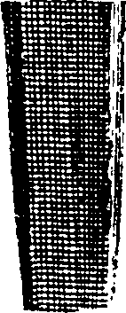 101/101100010004990_0.png