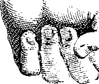 101/101100010005020_0.png