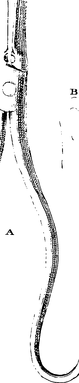 101/101100010005070_0.png