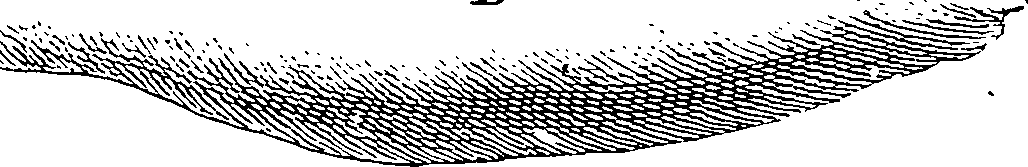 101/101100010005100_1.png