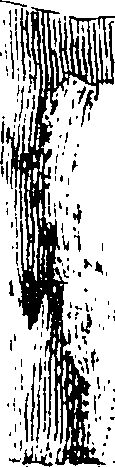 101/101100010005100_2.png