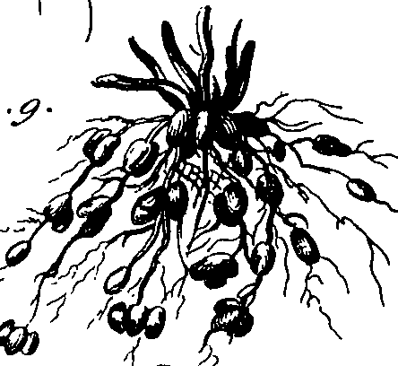 101/101100020000480_0.png