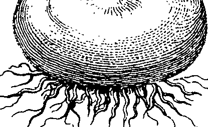 101/101100020000480_2.png