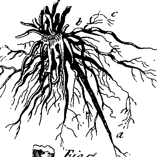 101/101100020000480_3.png