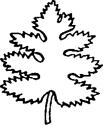 101/101100020000490_1.png