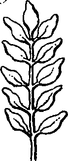 101/101100020000500_3.png