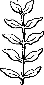 101/101100020000500_4.png