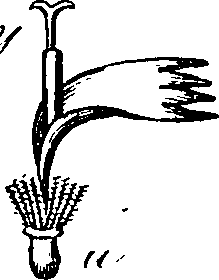 101/101100020000510_0.png