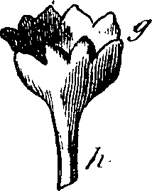 101/101100020000510_1.png