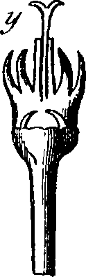 101/101100020000510_2.png