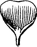 101/101100020000510_3.png