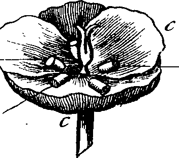 101/101100020000510_4.png