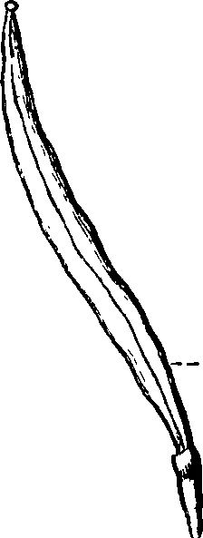 101/101100020000510_5.png