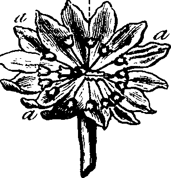 101/101100020000510_6.png