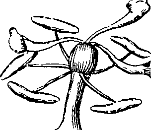 101/101100020000520_1.png
