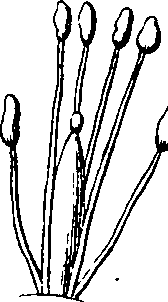 101/101100020000520_2.png