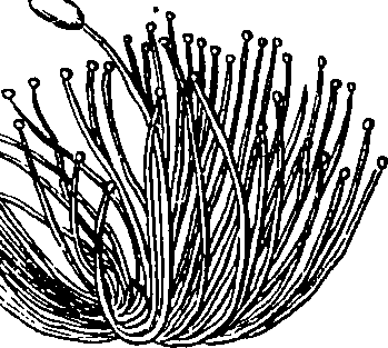 101/101100020000520_3.png