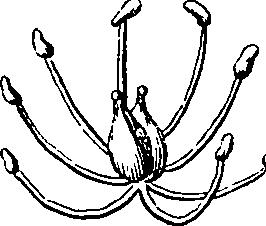 101/101100020000520_4.png