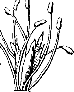 101/101100020000520_5.png