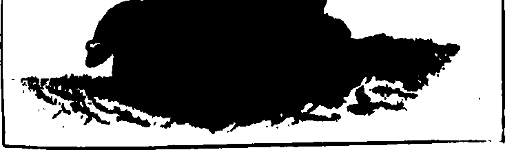 101/101120030001260_0.png
