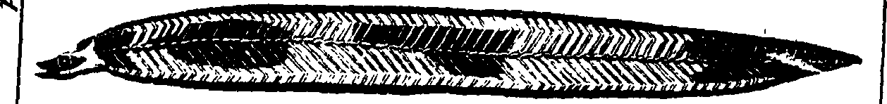 101/101130010901360_1.png