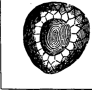 101/101130011201360_0.png