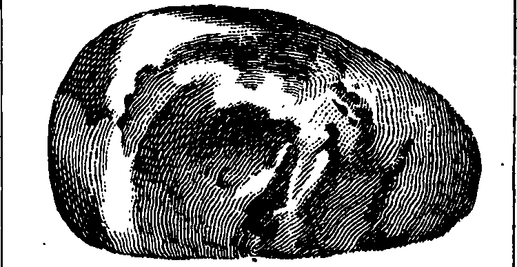 101/101130011201360_3.png