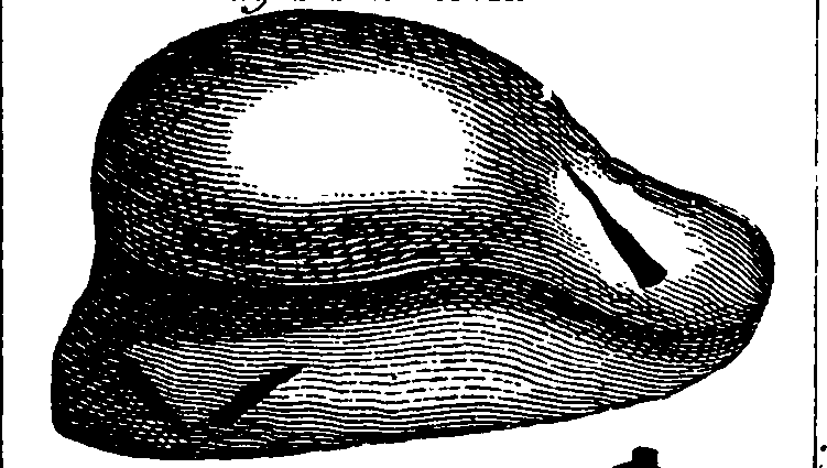 101/101130011201440_1.png
