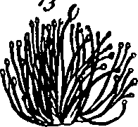 101/101130011201690_0.png