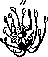 101/101130011201690_1.png