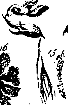 101/101130011201780_0.png