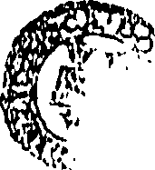 101/101160010206340_0.png