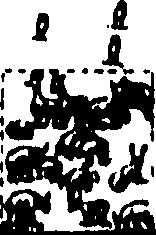 101/101170010300620_0.png