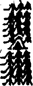 101/101170010300620_1.png