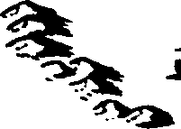 101/101190010804370_1.png