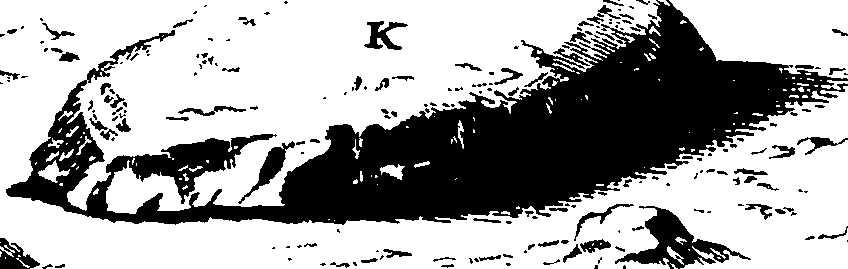 101/101210011101610_1.png