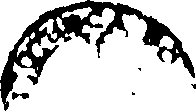 101/101210011203110_0.png