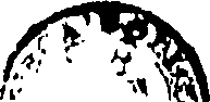 101/101240011803090_0.png