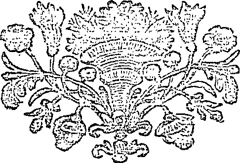 101/101360020001540_0.png