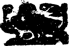 101/101360030001250_0.png