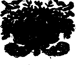 101/101360030001550_1.png