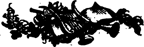 101/101370110000010_0.png