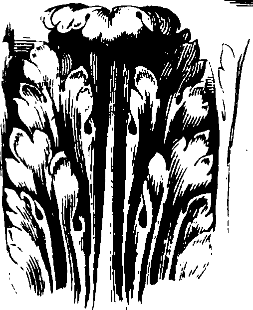 101/101480050000560_0.png