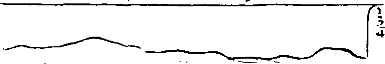 101/101480050000840_1.png