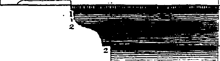 101/101480050000890_1.png