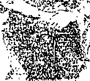 101/101480110000010_0.png
