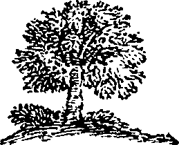 101/101570110000100_0.png